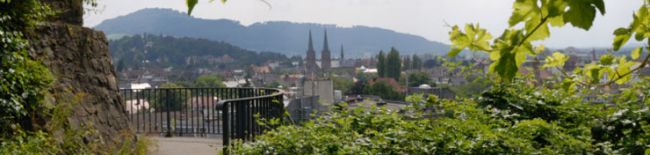 Gebäudereinigung Freiburg